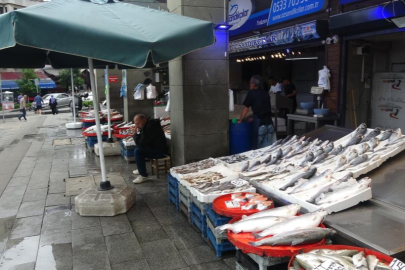 Kalkan Balığı 15 Haziran itibariyle başladı ancak beklenen verim olmadı