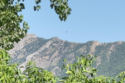 Şırnak Beytüşşebap'ta 4 terörist etkisiz hale getirildi