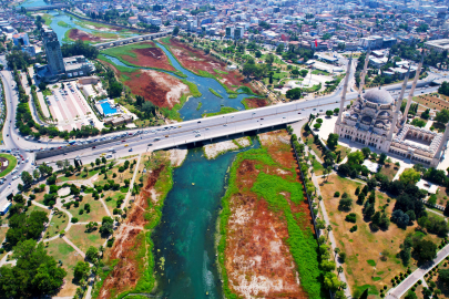 Seyhan Nehri'nde yosun sorunu kentte kötü kokuya neden oluyor