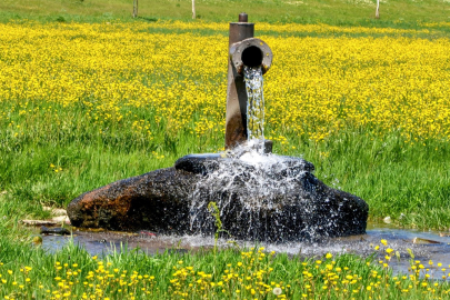 Doğu Anadolu'da tarım ve su kullanımı üzerine çarpıcı tespitler ortaya çıktı