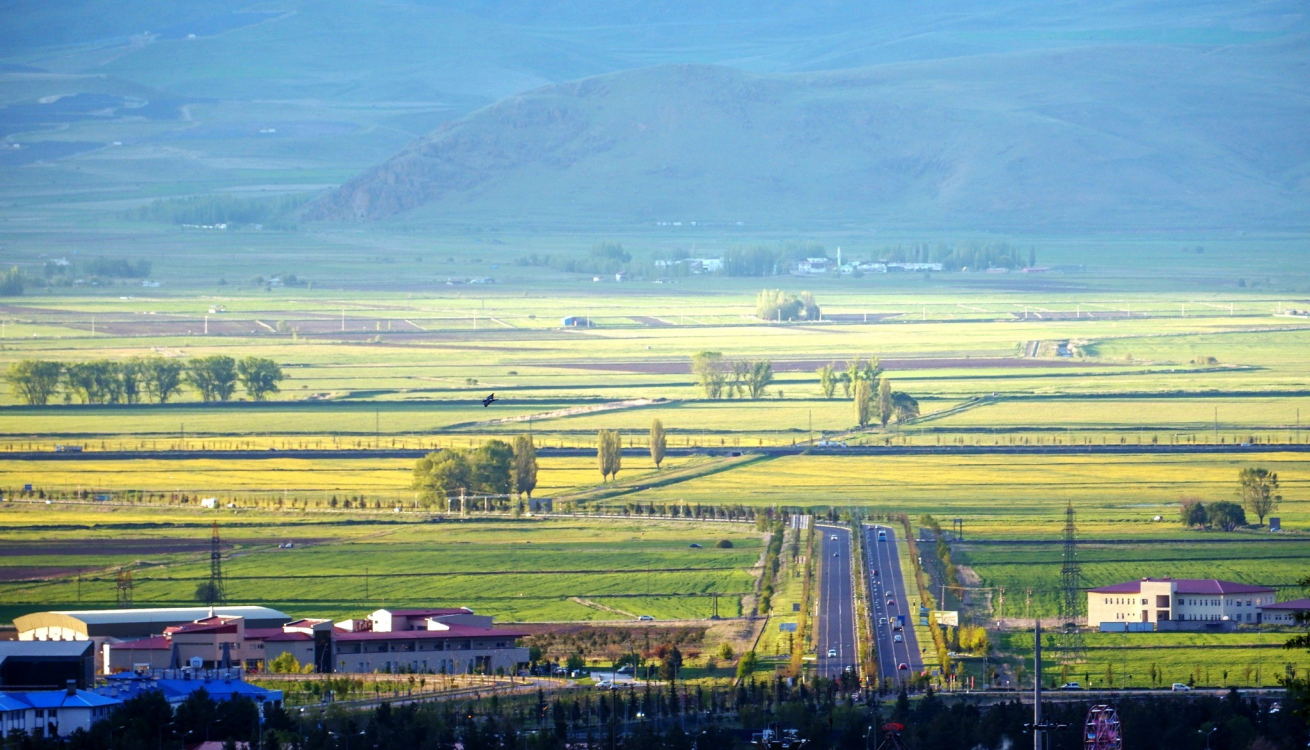 Doğu Anadolu Projesi 