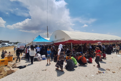 Mardin Büyükşehir Belediyesi yangın bölgesinde yaraları sarıyor