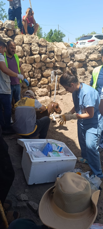 Mardin  Büyükşehir Belediyesi