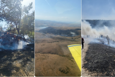 Balıkesir'in üç ilçesindeki kırsal alanlarda yangın çıktı