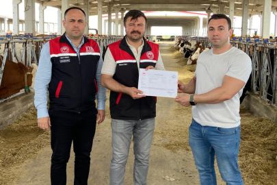 Eskişehir’de ari işletme sayısı çoğalıyor