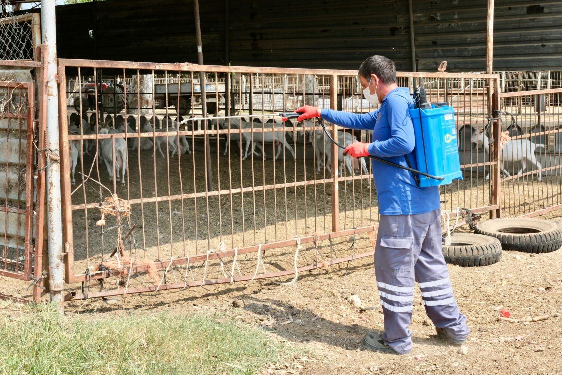  Adana Büyükşehir Belediyesi