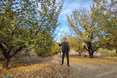 Erzurum Valiliği'nden önlem: Orman alanlarına girişler yasaklandı