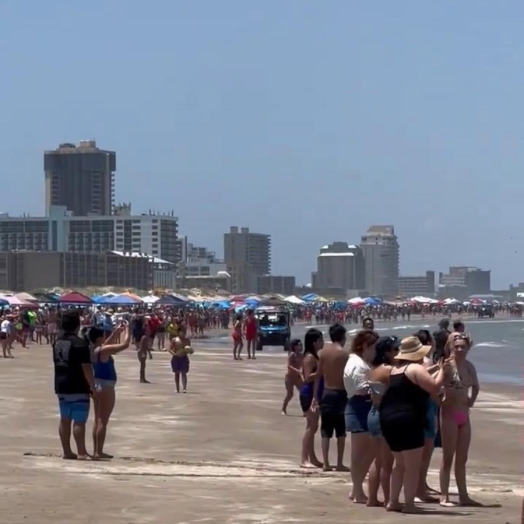 abd köpek saldırısı