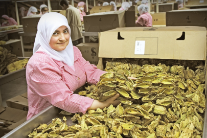 Tütün ihracatı yıl sonu hedefini 1 milyar dolar olarak belirledi
