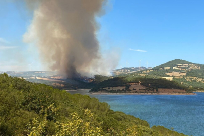 Çanakkale Bayramiç’te orman yangını