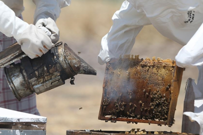 Şanlıurfa'da 15 haneli köyün arıcı kadınları