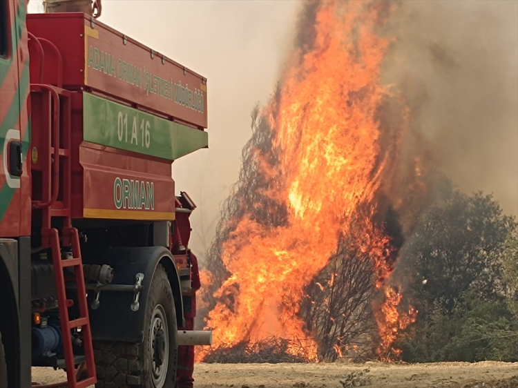 adana orman yangını