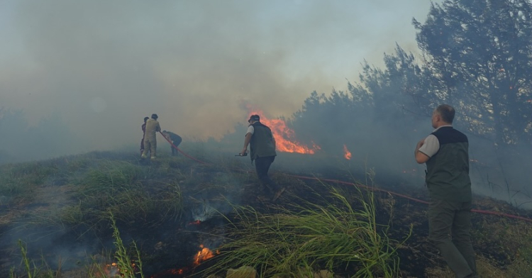 kozan orman yangını