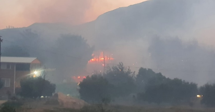 adana orman yangını