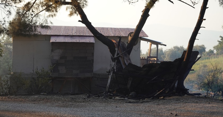 adana orman yangını