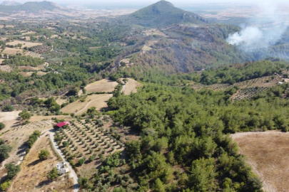 Kozan'daki orman yangını kontrol altına alındı