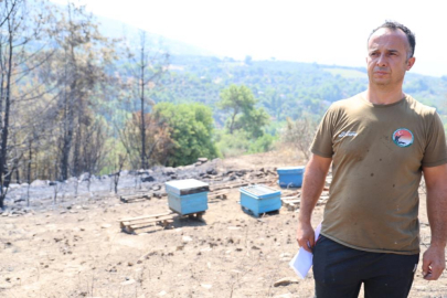 Adana'daki orman yangınında 15 kovan arı telef oldu