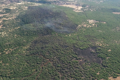 OGM'nin orman yangınlarıyla mücadele stratejisi