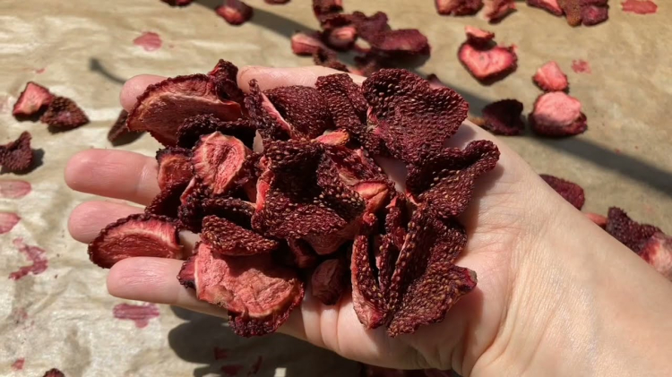 Evde Meyve ve Sebze Nasıl Kurutulur?