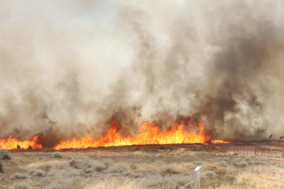 İzmir Karşıyaka'daki orman yangını sanayi sitesine sıçradı