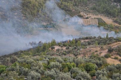 Silifke’de orman yangını kontrol altına alındı