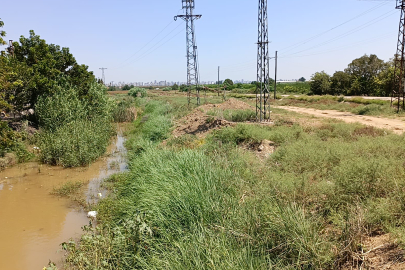 Adana'da su rezervleri düşüşte