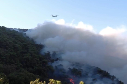 İzmir'deki orman yangınına havadan müdahaleye yeniden başlandı
