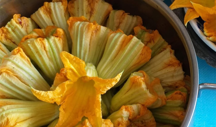 kabak çiçeği dolması