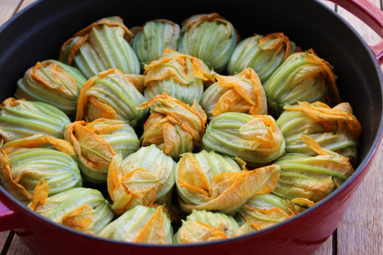 kabak çiçeği dolması