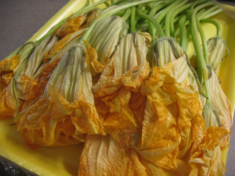 kabak çiçeği dolması