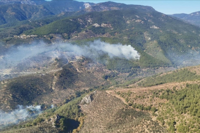 Kazdağları Milli Parkı yangın riski nedeniyle 31 Ekim'e kadar kapalı