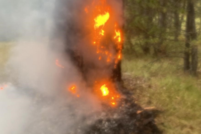 Kastamonu’da yıldırım nedeniyle çıkan orman yangını köylüler tarafından söndürüldü