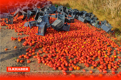 Adana'da domates yüklü kamyonet devrildi: Sürücü hafif yaralandı