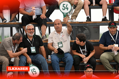 Adana’da 200 hayvan doğrudan besicilerle buluştu