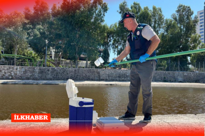 İzmir Körfezi'ndeki balık ölümlerinin nedeni araştırılıyor