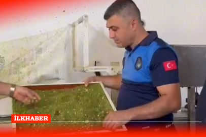 Hatay’da hijyen kurallarına uymayan 3 işletme mühürlendi