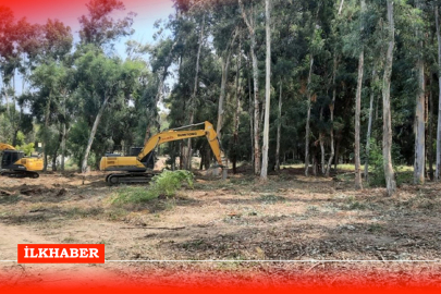 Adana Büyükşehir Belediyesi'nden "Ağaç kesimiyle hiçbir ilgimiz yok" açıklaması