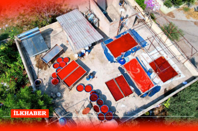 Adana'da salça sezonu başladı: Damlar kırmızıya büründü