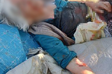 Niğde'de sahipsiz köpeklerin saldırısına uğrayan yaşlı kadın ağır yaralandı