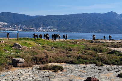 Gediz Deltası’ndaki bazı türler ve dağılımları, kayıt altına alınıyor