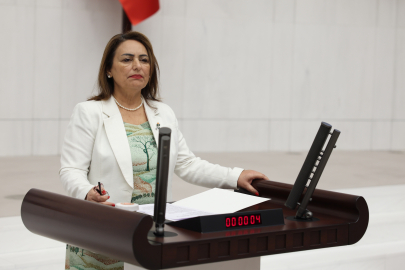 Dr. Müzeyyen Şevkin: Milli Eğitim Akademisi Eğitim Fakültelerini boşa çıkarıyor