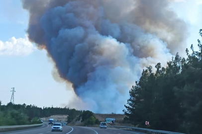 Adana Sarıçam Turunçlu Köyü'nde orman yangını