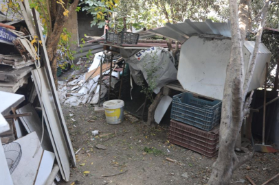 Hatay'da 30 tavuğunu telef eden sansarı yakaladı, kıyamayıp serbest bıraktı