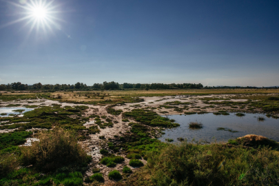 Gediz Deltası’nın sürdürülebilirliği için yeni adım