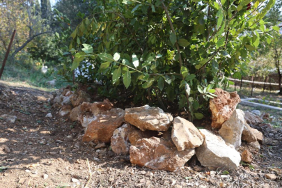 Malatya'da cansız bedeni bulunan üniversite öğrencisi Hatice Tunç, Hatay'da defnedildi