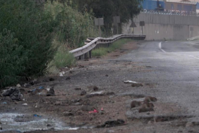 Hatay'da tahıl dökülmesi fare istilası başlattı