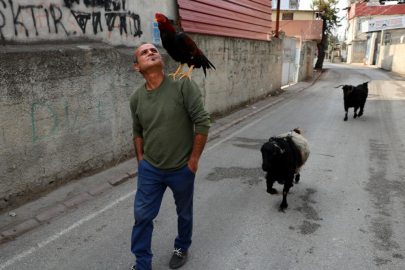 Adana’nın "Nuh’un Gemisi": Horoz ve keçileriyle arkadaş oldu