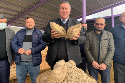 Gürer: Türk çiftçisi desteklenmeli, şeker ithalatından vazgeçilmeli