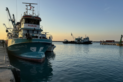 Doğu Akdeniz'de benekli balon balığı avcılığı desteklerle artıyor
