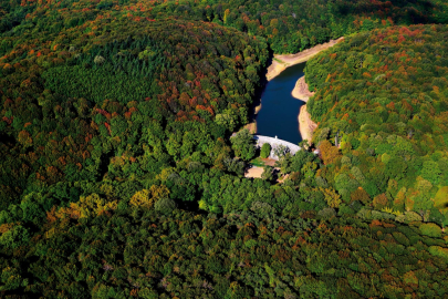 İstanbul’un nefes kaynağı tarihi Belgrad Ormanı için yüksek seviyede koruma talebi